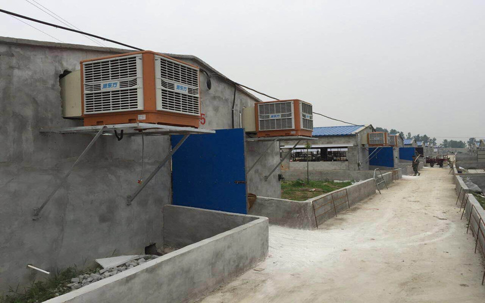 一定要關(guān)注！今天正式拉開瑞昌2016養(yǎng)豬場(chǎng)通風(fēng)降溫旺季序幕！